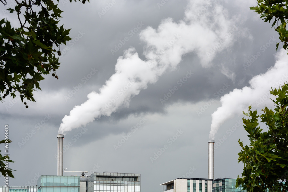 Industrial smoke emission from factory chimney under a stormy sky with foliage in the foreground.