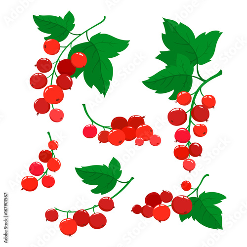 Set of cartoon red currant berries isolated on white