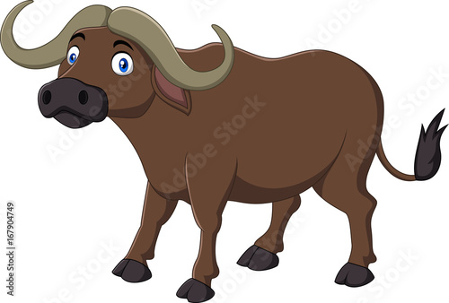 Cartoon Buffalo isolated on white background 