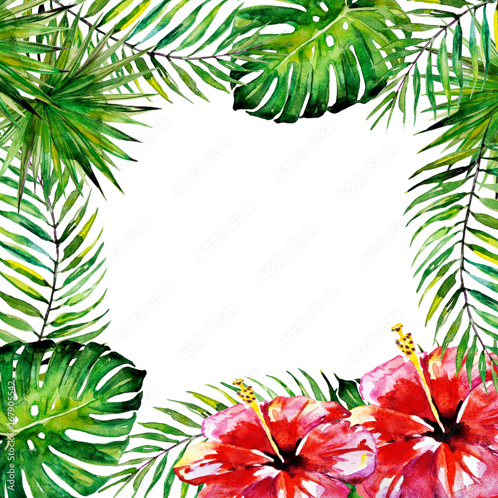 beautiful tropical palm leaves and flowers, watercolor beautiful tropical palm leaves and flowers, watercolor