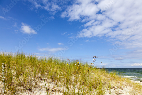 D  nen an der Ostsee