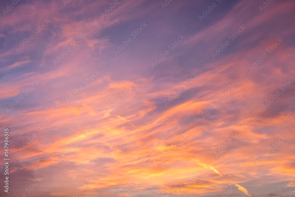 Fototapeta premium golden light on the sky