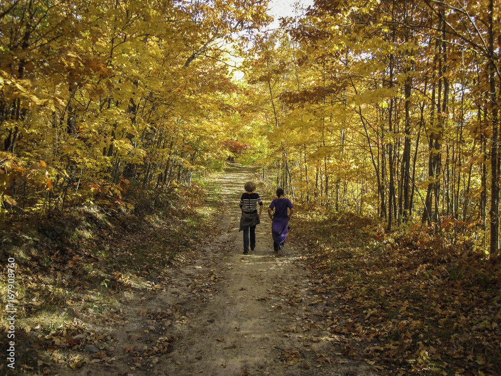 Obraz premium Autumn fall hike through the forest 