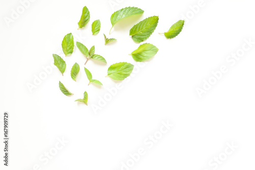 Composition with Fresh mint leaves