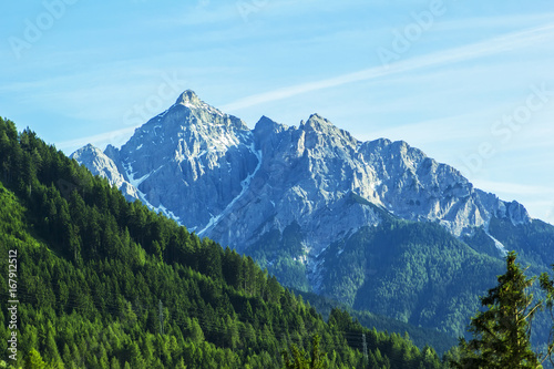 background landscape view of the snowy peaks of the Alps and the Coniferous forest In the Tyrol