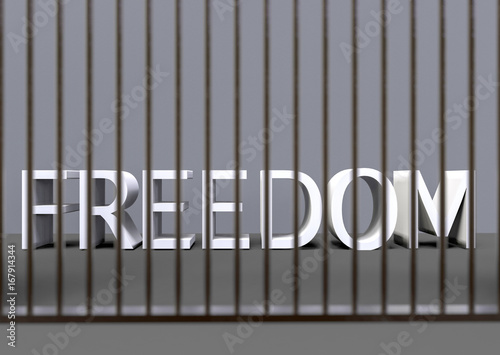 3d rendering. focus on FREEDOM word letters in the blurred metal jail. No freedom concept