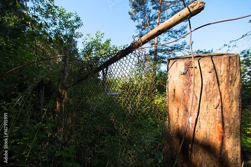 Old rusty broken metal fence and dry stump