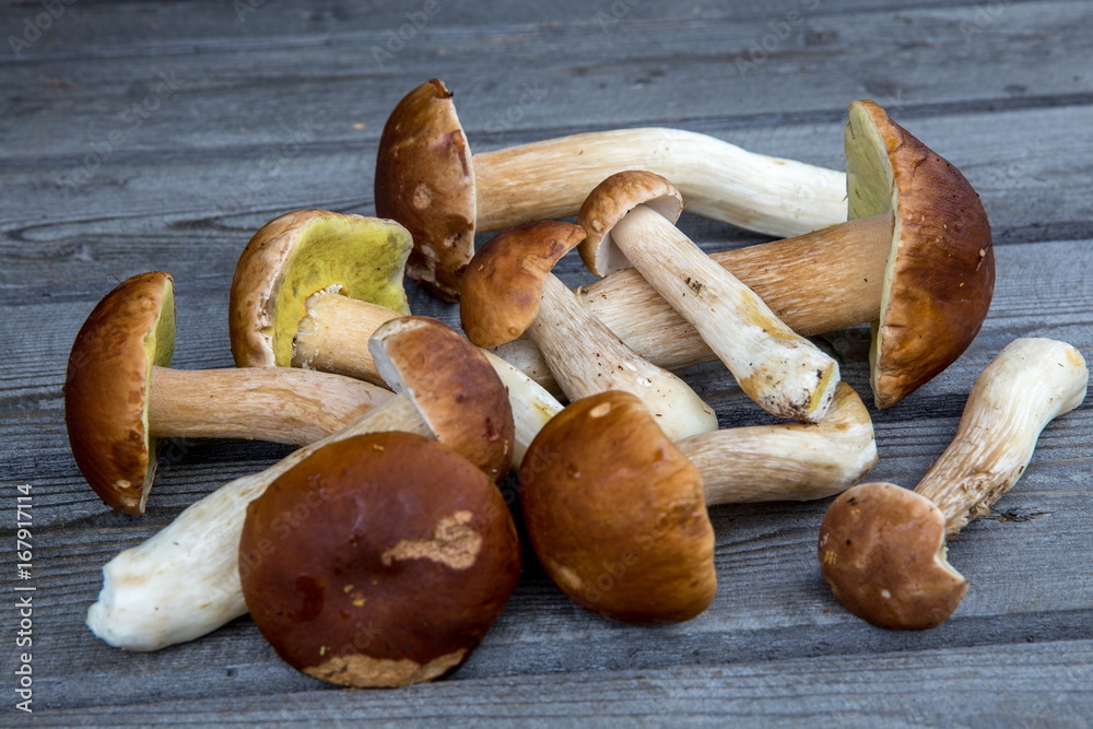 Mushroom Boletus over wooden background Mushroom Boletus over wooden background