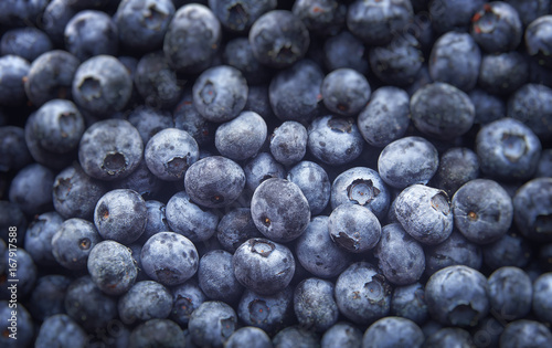 Freshly picked blueberries, Healthy food