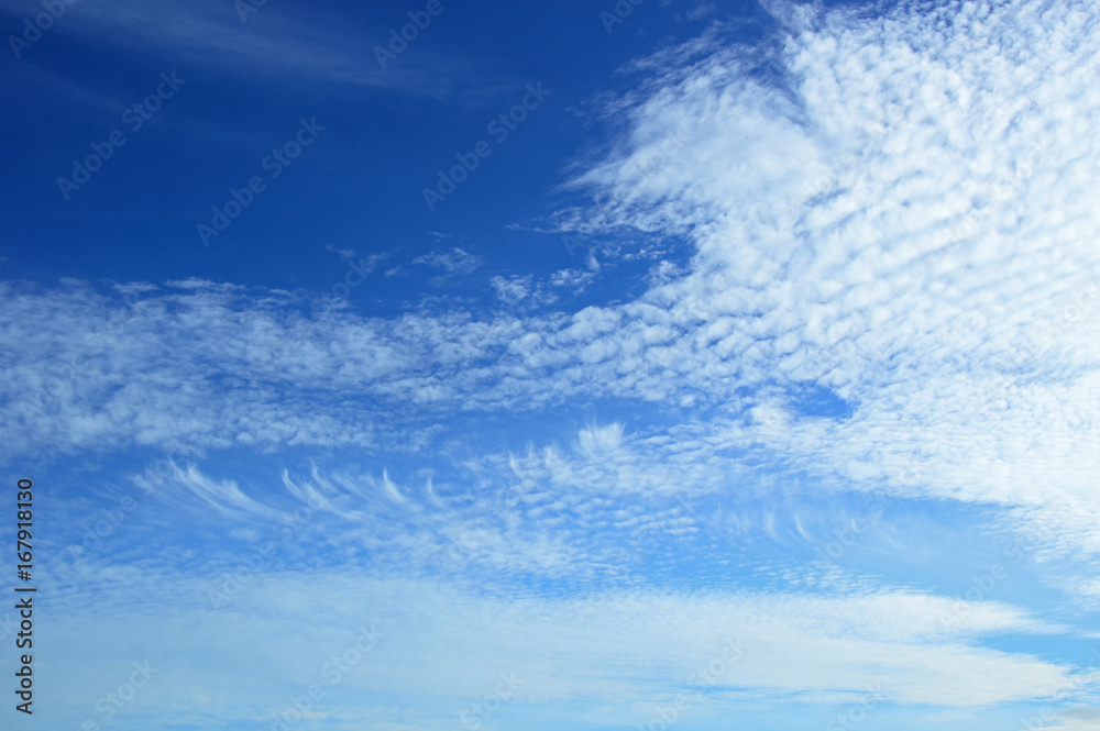 sky and White cloud: clear blue sky with plain white cloud with space for text background