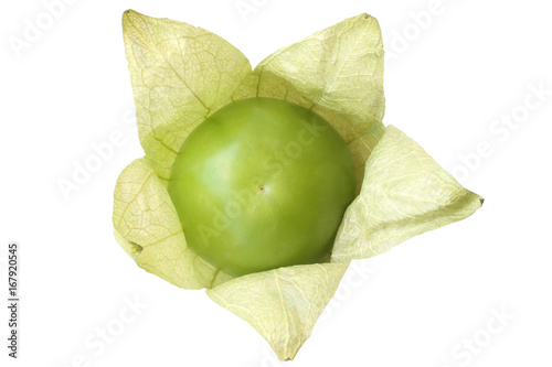 Fresh green tomatillo (Physalis philadelphica) with a husk photo