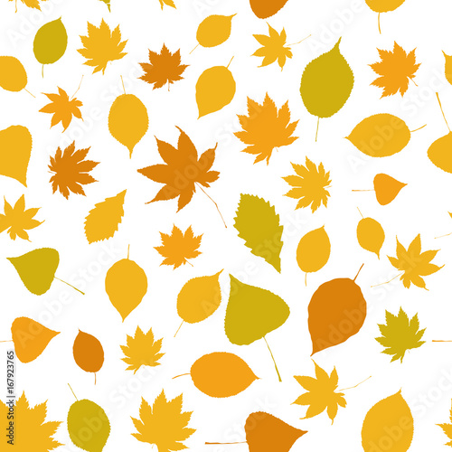 Autumn. leaves. 