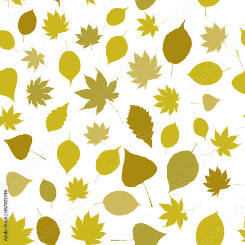 Autumn. leaves. 