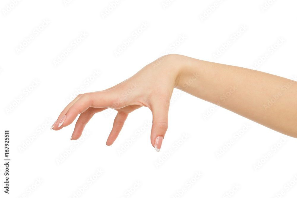 Female hand picking up something, crop, cutout Female hand picking up something, crop, cutout