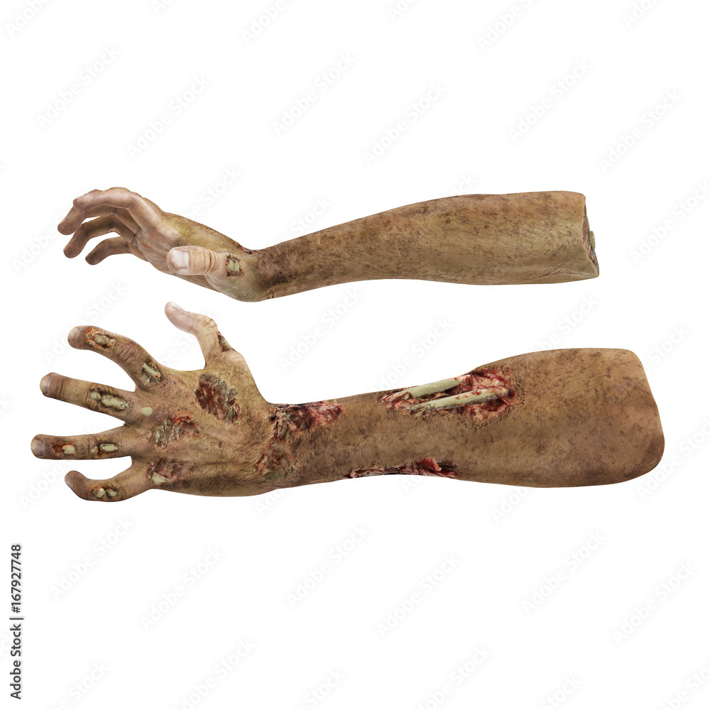 scary zombie hands on white. 3D illustration, clipping path