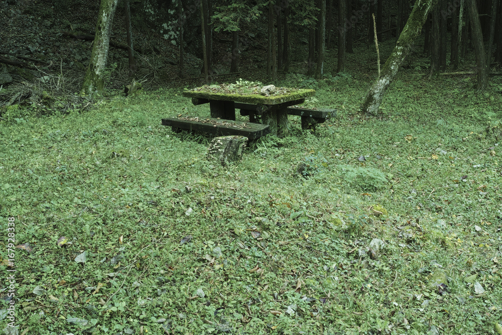 Naklejka premium 森の命1