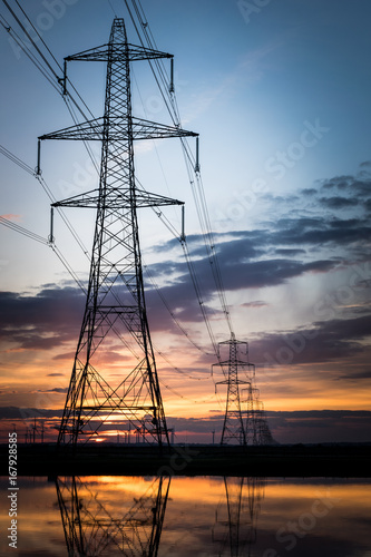 Electricity pylons disappear over horizon on marshland at sunset