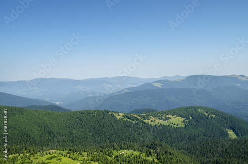Carpathian mountains landscape and forest.