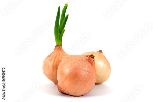 onions isolated.Fresh onions with leaves isolated