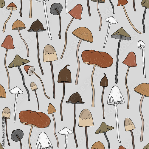 Beautiful inedible, hallucinogenic fungus seamless pattern
