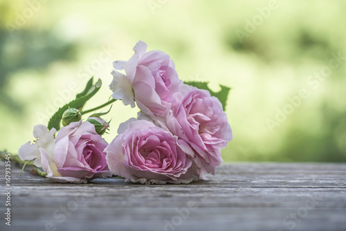 pink roses on a wooden table against green background © berna_namoglu