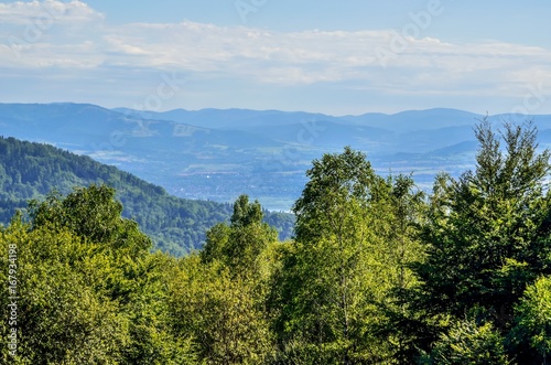 Summer mountain landscape. Beautiful green hills on a sunny day.