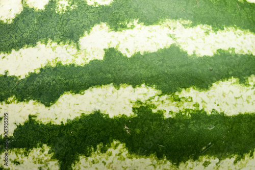 watermelon skin texture background
