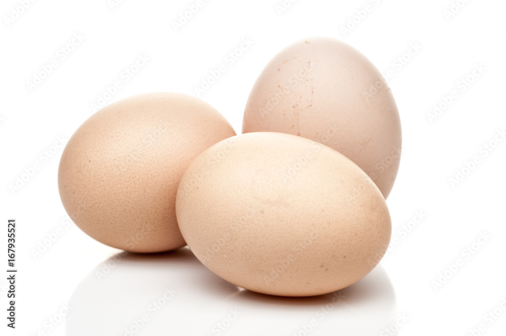 chicken eggs standing isolated on white background chicken eggs standing isolated on white background