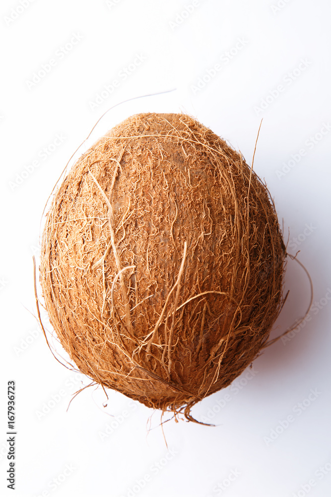 Coconut on white background. Whole coconut. Top view Coconut on white background. Whole coconut. Top view