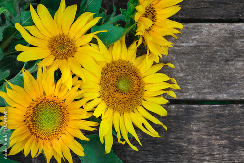 Sunflowers on a wooden table, copy space