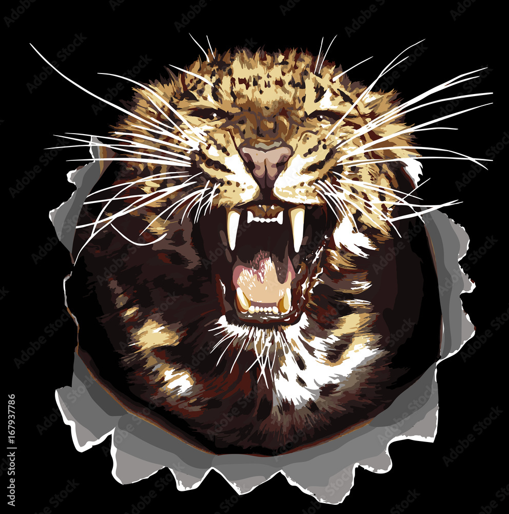 Vector Jaguar head isolated on black background. Angry leopard or jaguar  roaring with bared teeth and aggressive glare. Wild big cat for t-shirt  print, tattoo design or sticker on racing transport Stock