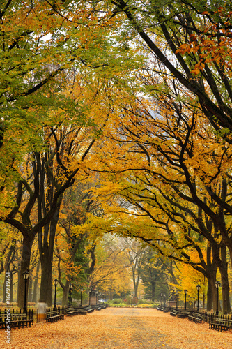USA, New York City, Manhattan, Central Park, The Mall