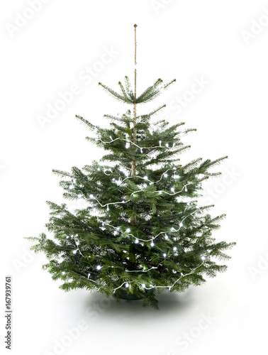 Leuchtender Weihnachtsbaum
