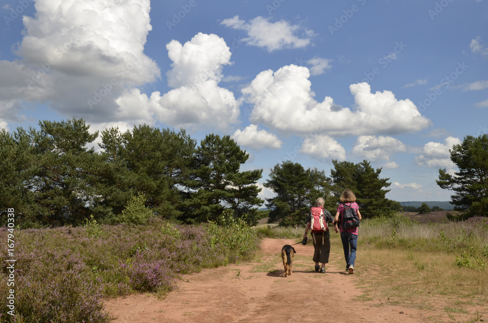 zwei frauen gehen mit hund und rucksäcken in der mehlinger heide zwei frauen gehen mit hund und rucksäcken in der mehlinger heide