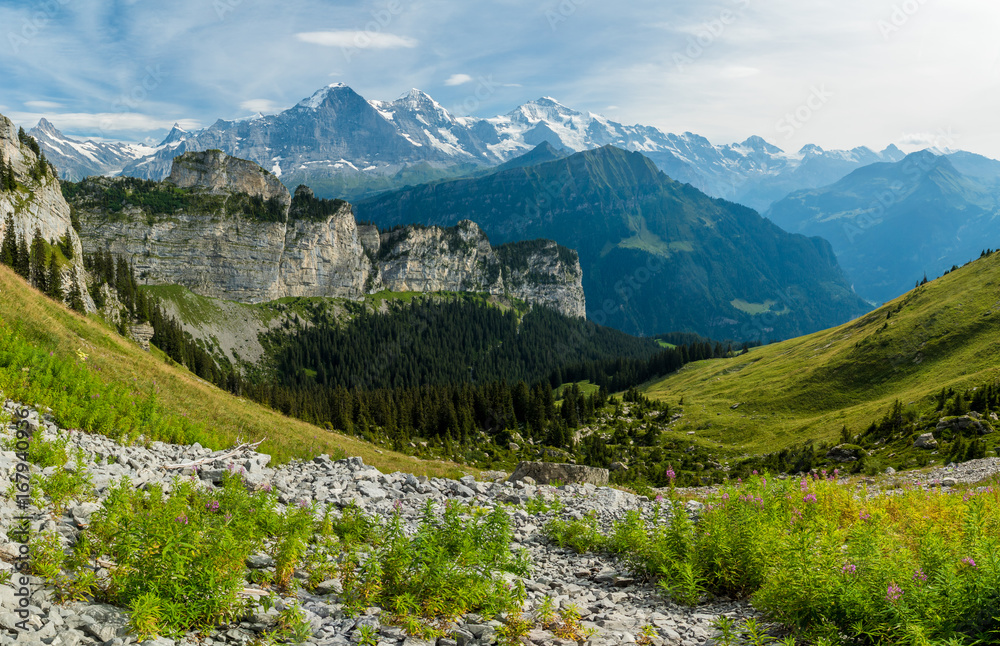 Panorama-Aussicht auf dem Weg zur Schynige Platte mit Eiger, Mönch und Jungfrau