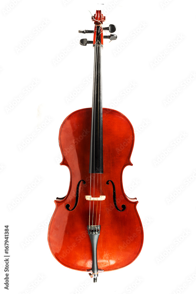 Fototapeta premium An old cello