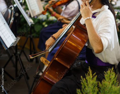 musician playing the cello in orchestra band