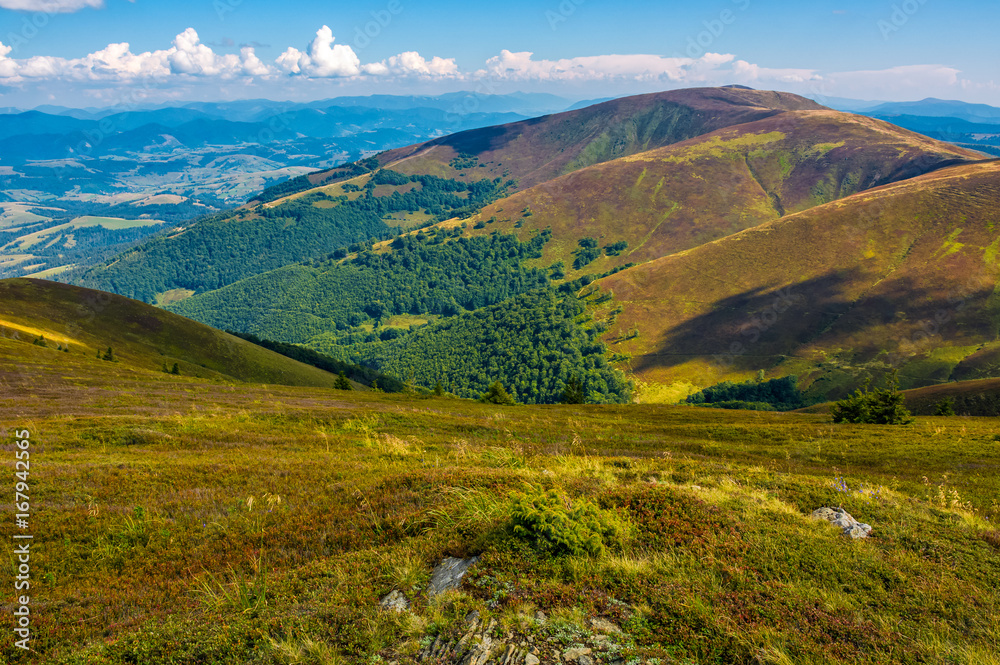 Obraz premium rocks among the grass on mountain slope
