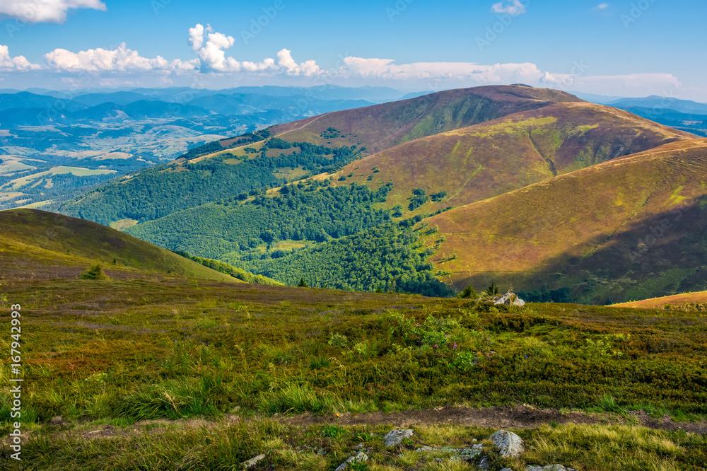 Borzhava ridge in Carpathian mountains in august