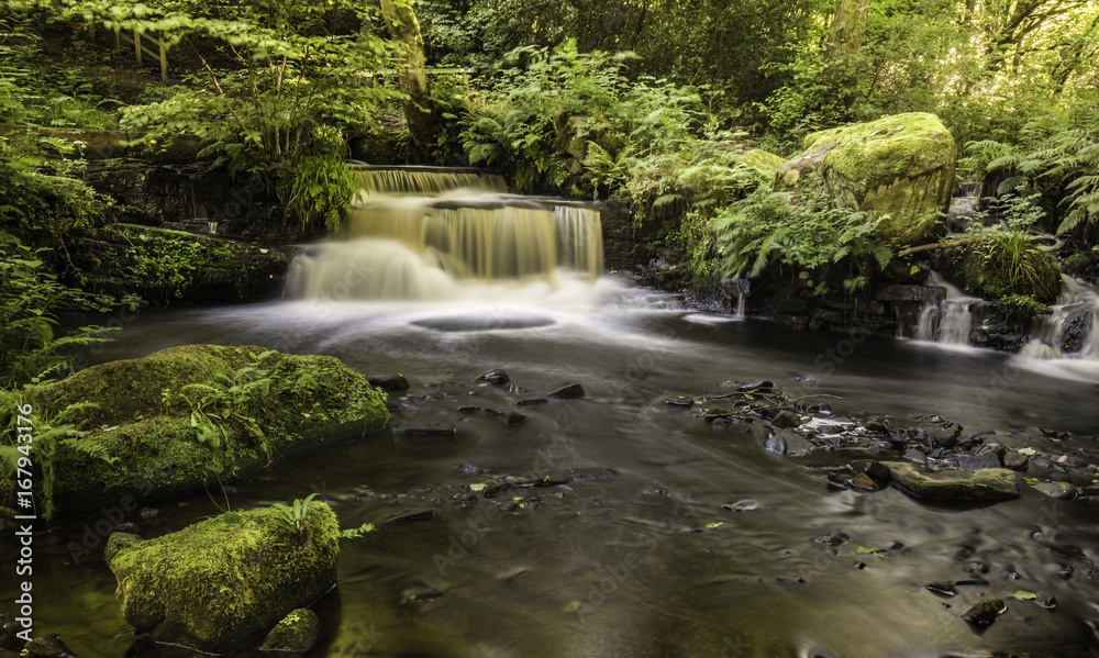 Fototapeta premium Rivelin valley waterfall, Sheffield, Yorkshire