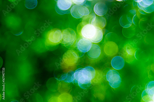 Abstact defocus bokeh light background made of forest style.