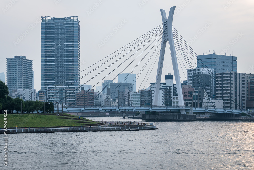 東京湾岸 中央大橋2 東京湾岸 中央大橋2