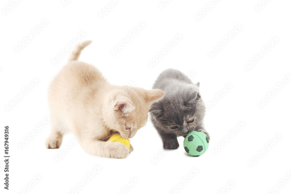 Fototapeta premium Ginger and grey kitten with balls isolated on a white