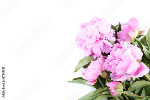 Bouquet of peony flowers isolated on white