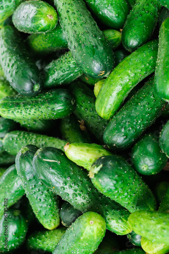 Fresh green cucumbers in a box in the market.