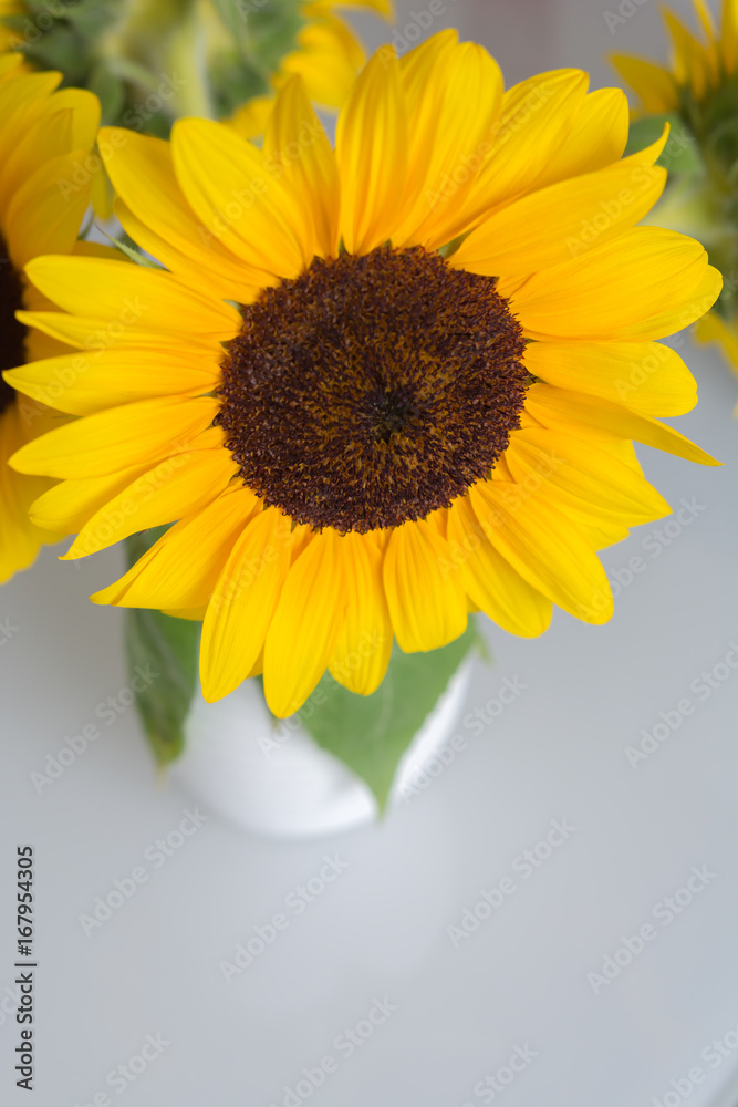Fototapeta premium Strauss mit Sonnenblumen 