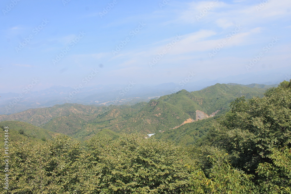 Obraz premium Great Wall Of China 