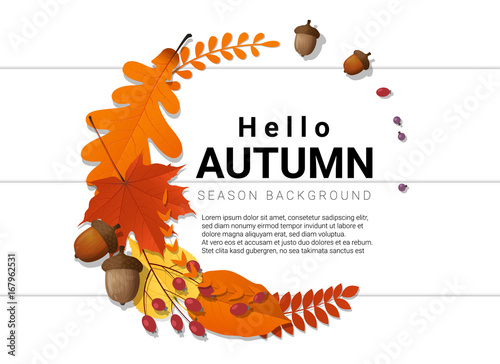 Hello autumn background with decorative wreath on wooden board , vector , illustration