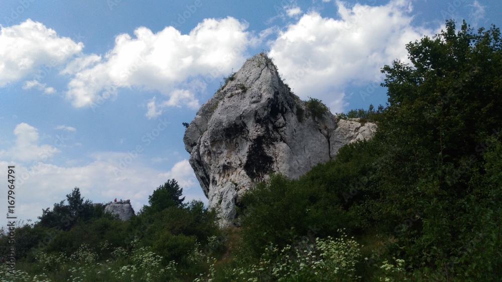 Przysadzista skała Przysadzista skała