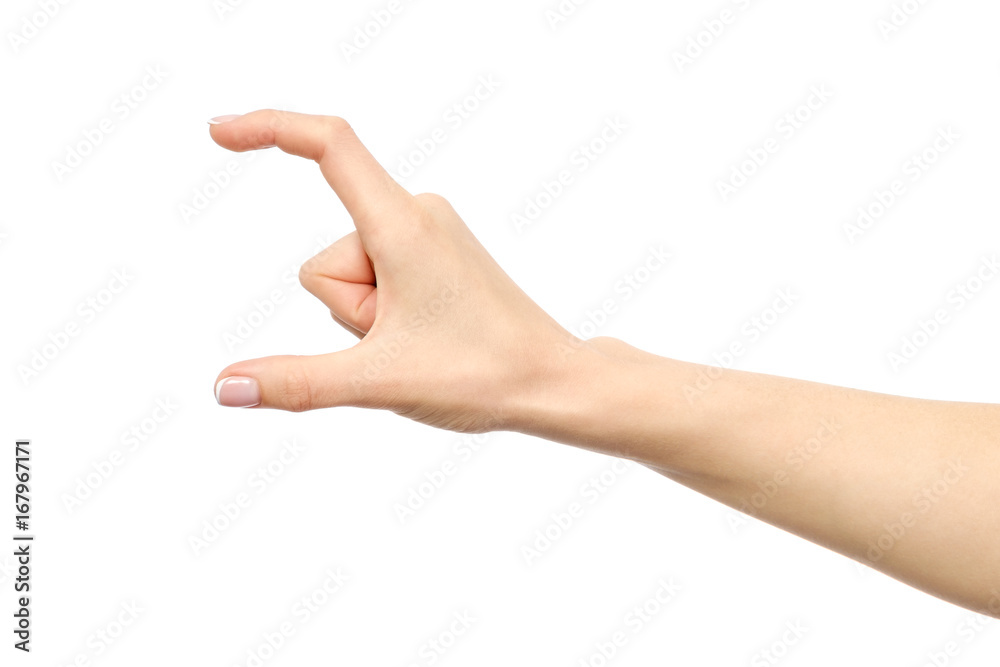 Hand showing size gesture isolated Hand showing size gesture isolated